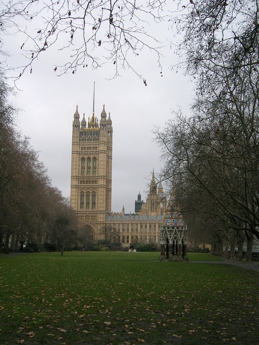 a photo