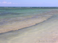 dscn1272.jpg