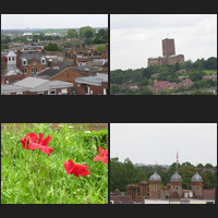 image montage
