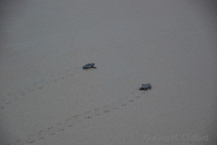 dsc_2463.jpg