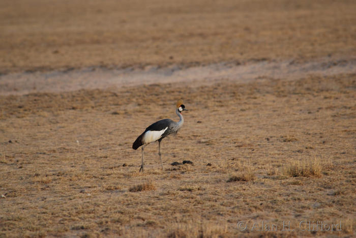 dsc_1385.jpg