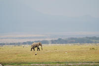 dsc_1516.jpg
