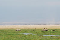 dsc_1623.jpg