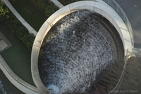 dsc_0170.jpg