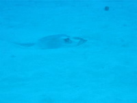dscf1316.avi