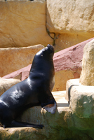 dsc_2928.jpg