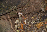 dsc_3989.jpg