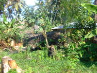 dscf1189.jpg