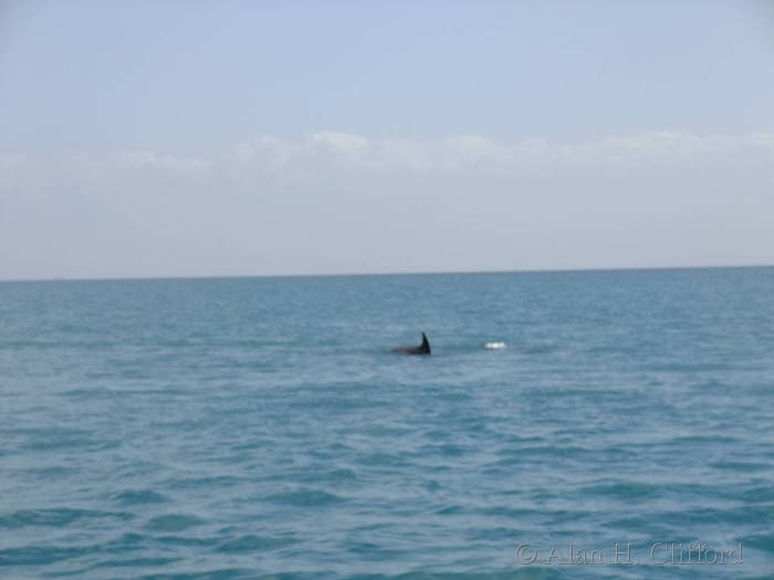 dscf1471.jpg