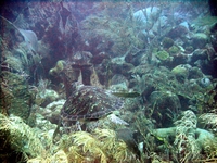 dscf2133_2.jpg