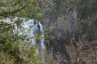 ahc_3572.jpg