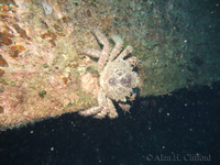 f200_4262.jpg