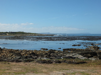 x-s1_3593.jpg