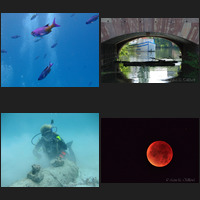 A selection of Alan Clifford’s photographs